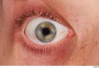 HD Eyes Gussepo Amarillo eye texture eyelash iris pupil skin…